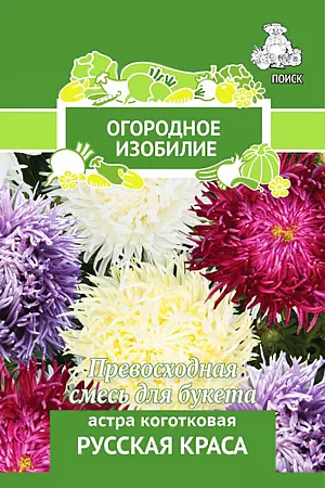Семена Астра Русская краса коготковая.
Превосходное сочетание соцветий оригинальной формы для срезки. 
Растение пирамидальной формы, высотой 70-75 см. Соцветия округло-плоские, махровые, диаметром 7-10 см, разнообразной окраски. 
Язычковые цветки сложены по длине в трубки, слегка загнуты внутрь.
 Используют очень широко: для посадки в сборные цветники группами, на рабатки - рядами, для бордюров и срезки.
 Посев: март
Глубина посева: 0.5 см
Высадка рассады: 25 мая- 5 июня
Время цветения: авг. – сент.
Схема посадки: 20х30 см