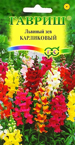 Семена Львиный зев Карликовый смесь.
Великолепный крупноцветковый срезочный сорт.Декоративное растение из семейства Норичниковые, культивируемое как однолетник, высотой 70-90 см. Цветет с конца июня до поздних заморозков. Цветки собраны в кистевидные соцветия темно-красной окраски. Холодостоек, светолюбив, к почвам нетребователен, в засушливый период нуждается в поливе. Выращивают рассадным способом. Посев проводят с начала марта до середины апреля. Всходы появляются через 8-12 дней. Рассаду высаживают во второй половине мая с расстоянием между растениями 35-40 см. Используется для групповых посадок и цветников, а также для получения высококачественной срезки (львиный зев стоит в воде до двух недель).