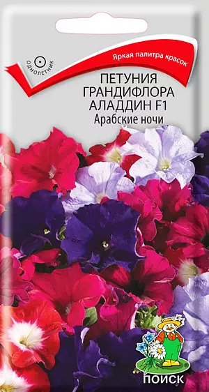 Петуния грандифлора Аладдин F1 Арабские ночи из каталога Петуния Семена Петуния Грандифлора Аладдин Арабские ночи F1. <br>
Цветы поистине уникальной красоты! Растение высотой 25-40 см. Крупные кружевные гофрированные цветы разнообразной окраски: сине-фиолетовые, малиновые, лавандовые, красные с белым горлом, диаметр цветка 8-10 см. Цветение обильное с июня до осенних заморозков. Прекрасно подходит для клумб, рабаток.
Агротехника. Растение светолюбивое, засухоустойчивое, хорошо растет на любых питательных почвах. Посев семян на рассаду проводят в феврале-марте. Семена слегка вдавливают в почву, землей не присыпают. Посадочную емкость накрывают стеклом и ставят в освещенное место. При температуре почвы +18-20°C всходы появляются на 14-20 день. Сеянцы пикируют в фазе 2-х настоящих листьев. Рассаду высаживают в открытый грунт после окончания весенних заморозков. Семена соответствуют требованиям международных стандартов и ГОСТу РФ 12260-81