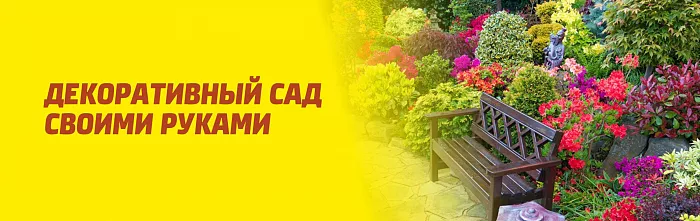 ДЕКОРАТИВНЫЙ САД СВОИМИ РУКАМИ: ЧТО ПОСАДИТЬ ОСЕНЬЮ. СХЕМА ПОСАДОК ДЕКОРАТИВНЫЙ САД СВОИМИ РУКАМИ: ЧТО ПОСАДИТЬ ОСЕНЬЮ. СХЕМА ПОСАДОК
