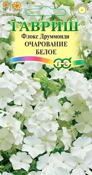 Семена Флокс Друммонда Очарование белое из каталога Флокс Семена Флокс Друммонда Очарование белое.<br>
Эффектная крупноцветковая смесь однолетних низкорослых сортов флокса с обильным цветением и ошеломляюще красивой окраской. Растения компактные, высотой до 25 см. Цветки до 1,5-2 см в диаметре, белые, собраны в щитковидные соцветия. Предпочитает солнечные места и легкие дренированные плодородные почвы с большим количеством органики. Посев на рассаду — в марте-апреле, высадка в грунт — в мае, через 15 см. Цветет с июня до заморозков. Используют в качестве клумбового и бордюрного растения, выращивают в контейнерах и горшках, на каменистых горках. Подходит для ярких мини-букетов.