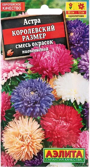 Семена Астра Королевский размер смесь окрасок 0,1 г.
Великолепная серия крупноцветковых астр универсального назначения – на срезку и для украшения цветников. Формирует пышный, пирамидальный куст высотой 90-100 см. Соцветия густомахровые, полусферической формы, диаметром более 12 см, на длинных, прочных цветоносах. Цветет обильно, длительно – с начала августа до устойчивых заморозков. Обладает сравнительно высокой устойчивостью к болезням.
