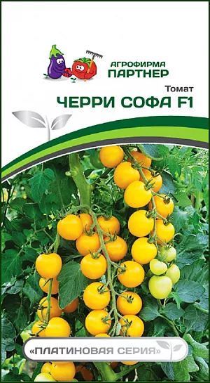 Семена Томат черри Софа F1