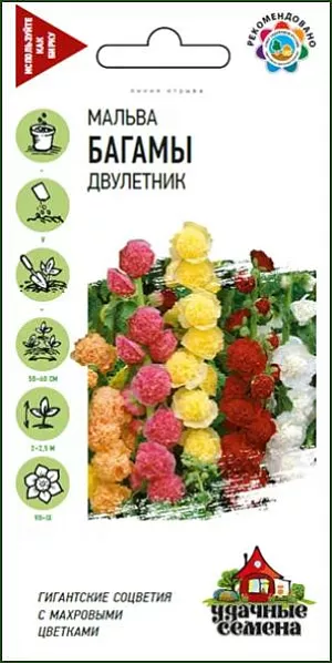 Семена Мальва Багамы.
Обворожительная смесь с махровыми цветками, распускающимися поочередно на гигантских соцветиях. 
Цветки разнообразной окраски, собраны в крупное эффектное соцветие-кисть. 
Светолюбива и засухоустойчива, к почвам нетребовательна. На зиму желательно легкое укрытие. 
Выращивают прямым посевом в открытый грунт.
Для декоративных целей рекомендуется для посадки в группах, миксбордерах, для декорирования стен зданий и изгородей, а также для получения срезки. 
Оптимальная для прорастания семян температура почвы 20-25 °C