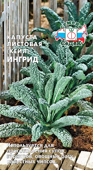 Семена Капуста листовая Ингрид