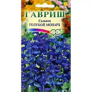 Сальвия Голубой монарх Сальвия Голубой монарх
