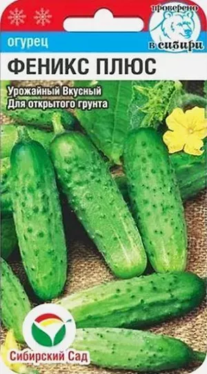 Семена Огурец Феникс плюс Семена Огурец Феникс плюс
