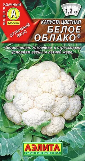 Семена Капуста цветная Белое облако Семена Капуста цветная Белое облако