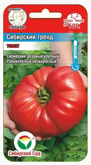 Семена Томат Сибирский тренд Семена Томат Сибирский тренд