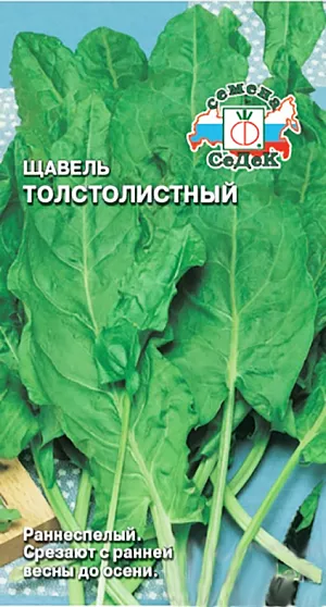 Семена Щавель Толстолистный