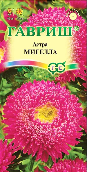 Семена Астра Мигелла, однолетняя из каталога Астра Семена Астра Мигелла, однолетняя. <br>
Привлекательное растение, высотой до 60 см, относится к сортотипу принцесса. Соцветия густомахровые, диаметром 7-8 см, темно-розовые с желтой серединой. Данный сорт высокоустойчив к фузариозному увяданию. Для выращивания подходят хорошо освещенные участки с плодородной суглинистой или супесчаной почвой. Астры обладают высокой холодостойкостью – хорошо переносят заморозки до -3-4°C. Выращивают, чаще всего, рассадным способом. Семена высевают в марте-апреле, пикируют с развитием первой пары настоящих листочков по схеме 5х5 см, в открытый грунт рассаду высаживают с середины мая до начала июня. Возможен подзимний посев астр: в конце октября на глубину 5-8 см. Сверху посевы мульчируют торфом или опилками на высоту 3-5 см. Весной (в конце марта-начале апреля) посевы раскрывают. Появившиеся в конце апреля всходы будут закаленными, а выросшие растения сильными, устойчивыми к заморозкам и обильно цвести. Используются для получения срезки и оформления участка.