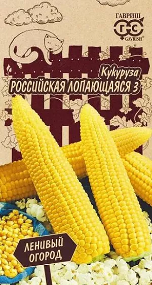 Семена Кукуруза Российская лопающаяся 3