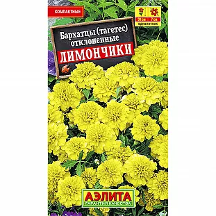 Бархатцы Лимончики отклоненные