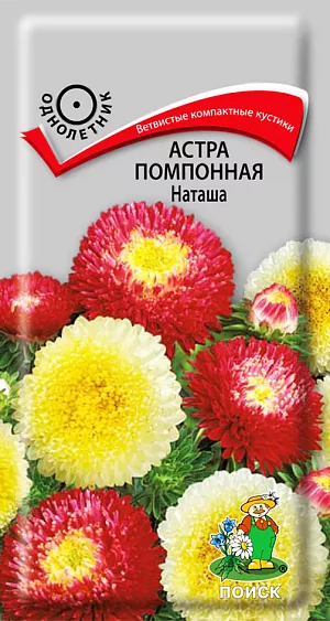 Семена Астра Наташа помпонная.
<p>
 Чудо астры! Растение компактное, 45-50 см. Соцветия кроваво-красные и желтые. На растении до 30 соцветий. Цветет июль-август. Используют очень широко: для посадки в сборные цветники группами, на рабатки – рядами и на срезку.
</p>
<p>
  Растение предпочитает открытое солнечное место, но выносит и полутень. Лучше растет на легких, плодородных почвах. Не переносит внесения органических удобрений в год посадки. Семена высевают с середины февраля по апрель. Глубина заделки семян 0,5 см. При температуре почвы +20<sup>0</sup>C всходы появляются на 7-14 день. Через 3-4 недели посевы пикируют и выращивают при температуре +12-15<sup>0</sup>C. В грунт рассаду высаживают во второй половине мая, расстояние между растениями 20-30 см.
</p>
