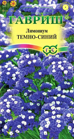Лимониум Темно-синий из каталога Разные Семена Лимониум Темно-синий.
Растение многолетнее, травянистое, культивируемое как однолетнее. Стебли высотой до 60 см. Цветки мелкие, до 1 см в диаметре, темно-синие. Цветение обильное с июля до заморозков. Посев на рассаду в начале апреля, прямой посев в открытый грунт в мае. Всходы появляются через 10-12 дней. Пикировать сеянцы лучше в горшочки, так как рассада с открытой корневой системой приживается плохо. На постоянное место высаживают в мае, на расстоянии 20-25 см друг от друга. Лимониум можно располагать небольшими группами в миксбордерах, рокариях. Для сушки цветоносы срезают во время полного цветения, но до того момента, как начнут блекнуть нижние цветки.