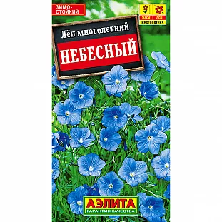 Лен многолетний Небесный