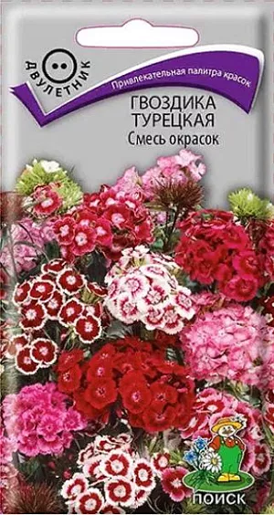 Гвоздика Турецкая Смесь окрасок из каталога Гвоздика Семена Гвоздика Турецкая Смесь окрасок. Кустик высотой 50 см. Окраска цветков разнообразная. Листья линейно-ланцетные, зеленые. К концу 1-го года выращивания образуется розетка прикорневых листьев. На следующий год растения цветут с конца июня в течение месяца. Используют для сборных цветников, рабаток и для срезки.<br>
<br>
Агротехника. Растение холодо- и засухоустойчивое, предпочитает солнечное место, но может расти и в полутени. Хорошо растёт на плодородных дренированных почвах. Посев семян производят в мае-июне в открытый грунт на разводочные гряды, слегка присыпав их влажным песком. При температуре почвы +18-20°С всходы появляются через 10-14 дней. На постоянное место рассаду высаживают в августе, выдерживая расстояние между растениями 25-30 см.