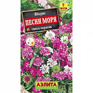 Иберис Песни моря смесь окрасок