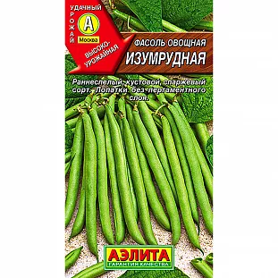 Семена Фасоль Изумрудная овощная Семена Фасоль Изумрудная овощная