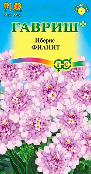 Иберис зонтичный Фианит из каталога Иберис Однолетнее низкорослое растение высотой до 30 см из семейства Крестоцветные. Быстро образует кустик, усыпанный шапками зонтиковидных соцветий диаметром 5-6 см, розового цвета, состоящих из мелких душистых цветков. Цветет с июня в течение 2-х месяцев. Иберис неприхотлив, зимостоек, предпочитает дренированные легкие суглинистые почвы и хорошо освещенные места. Выращивают посевом в открытый грунт в мае или под зиму на глубину 0,5 см. Также выращивают рассадным способом. Рекомендуется для бордюров, миксбордеров, рокариев, оформления края садовых дорожек.