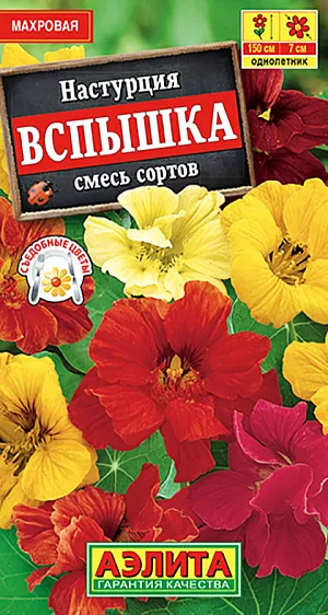 Семена Настурция Вспышка смесь окрасок.
Очень красивая настурция на протяжении всего лета будет радовать вас очень крупными, махровыми, эффектными, многокрасочными цветками со шпорцами, которые словно огоньки будут «загораться» на фоне сочной зелени листьев. Это неприхотливое, вьющееся декоративное растение с легкостью украсит балконы, клумбы, рабатки, и наполнит воздух приятным ароматом. 
Агротехника. Посев непосредственно в грунт в конце мая – начале июня предварительно замоченными семенами. Всходы прореживают с шагом 12-15 см между растениями. Настурция неприхотливая культура, хорошо растет и цветет на легких дренированных почвах среднего плодородия.