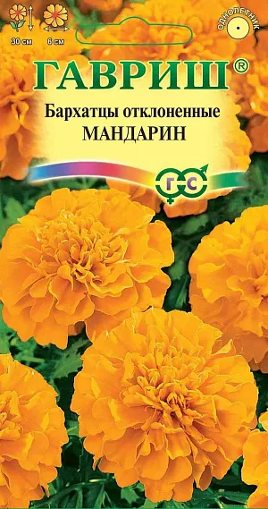 Семена Бархатцы Мандарин отклоненные.
Выразительный, компактный сорт с густооблиственным кустиком высотой 30 см и махровыми соцветиями, диаметром 6 см, сочного, ярко-оранжевого оттенка. 
Идеально подойдет для оформления бордюров, рабаток, вазонов и балконных ящиков. Цветет с июня до заморозков. 
Бархатцы светолюбивы и теплолюбивы, заморозков не переносят, к почвам нетребовательны, но предпочитают плодородные легкие почвы. 
Посев на рассаду проводят во второй половине марте - начале апреля. 
Всходы появляются через 4-8 дней после посева, сеянцы пикируют в фазе 2-го настоящего листа. 
Рассаду высаживают в начале июня с расстоянием между растениями 30-35 см.
Посев в открытый грунт проводят в мае на глубину 1,5-2 см.