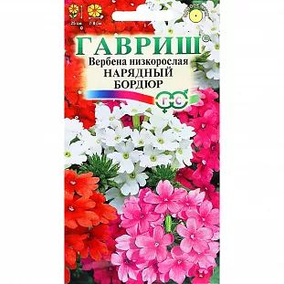 Семена Вербена низкорослая Нарядный Бордюр
