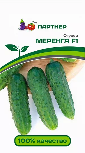 Семена Огурец Меренга F1