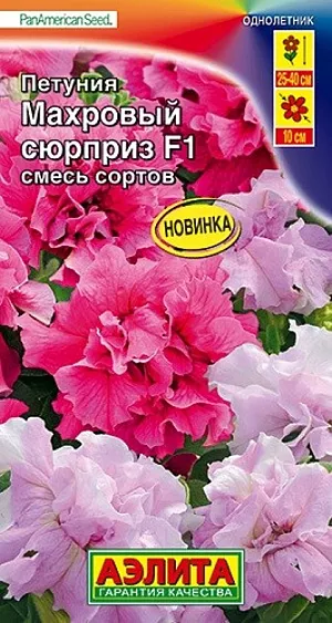 <div>
 Семена Петуния Махровый сюрприз смесь F1.
</div>
 100% махровая! Яркость и нежность объединяет в себе смесь махровых петуний американской селекции от компании PanAmerican Seed (Америка). Растения высотой 25-40 см с отличным ветвлением. Поникающие побеги свешиваются за края кашпо восхитительным каскадом. Цветки крупные, очень аккуратные и воздушные, диаметром 8-10 см. Гибриды рекомендуются для выращивания в подвесных кашпо, садовых горшках и в цветниках.<br>
 Семена в гранулах! Гранулы располагают на поверхности почвы, не заделывая их, хорошо увлажняют из распылителя. При попадании влаги на гранулу оболочка должна раствориться. Посевы накрывают стеклом для сохранения постоянной влажности до полных всходов. Февральским посевам требуется дополнительная подсветка.<br>
 <br>