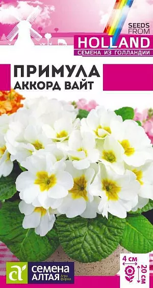 Семена Примула Аккорд Вайт из каталога Примула Семена примула Аккорд Вайт.<br>
<br>
Морозостойкий травянистый двулетник среднего срока цветения. Идеально подходит для выращивания в горшечной культуре. Высота растения в горшке 10-15 см. Ширина куста 15-20 см. Розетка продолговатых светло-зеленых листьев служит великолепным фоном. Очаровательные цветки достаточно крупные,в диаметре 4 см. Групповые посадки из примул отлично смотрятся на каменистых горках, в бордюрах, миксбордерах и рабатках. Эффектно выглядят под деревьями и кустарниками.<br>
<br>
Растение зимостойкое. Предпочитает затененные участки с легкими питательными, хорошо дренированными почвами, свободными от сорняков. <br>