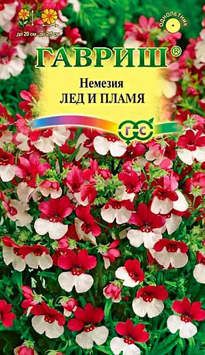 Семена Немезия Лёд и пламя.
Однолетнее, сильноветвистое растение высотой до 20 см, станет великолепным украшением цветников, вазонов и бордюров. Облако из красно-белых цветков, собранных в рыхлые соцветия на концах стеблей, порадует долгим обильным цветением с июня по август. Цветки вздутые, неправильной формы, до 2,5 см в диаметре. Предпочитает солнечные места, лучше растет на легкой, не содержащей извести почве, отличается высокой холодостойкостью и неприхотливостью. Семена высевают на рассаду в марте-апреле, в районах с мягким климатом можно сеять в открытый грунт в конце апреля, с расстоянием между растениями 15 см. Для лучшего кущения прищипывают верхушку молодых растений. Уход заключается в умеренном поливе и 2-3 подкормках за лето. После первой волны цветения побеги подрезают. Один из лучших летников для сборных цветников, балконов.