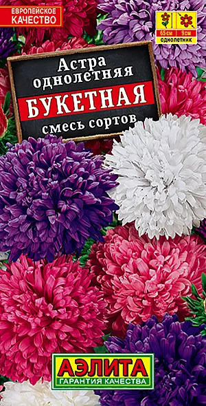 Семена Астра Букетная смесь окрасок. Однолетник<br>
 Высота растения 65 см.<br>
 Диаметр соцветия 9 см.<br>
  <br>
 Обильноцветущая смесь астр с крупными густомахровыми соцветиями-корзинками. Кусты компактные, цилиндрические, высотой 60-65 см, с множеством прочных цветоносов. Соцветия плоскоокруглые, 8-10 см в диаметре. Цветение раннее и продолжительное, с июля до устойчивых заморозков. Растения холодостойкие, предпочитают солнечное местоположение, не выносят застоя воды в почве. Сохраняют свою декоративность несмотря на воздействие дождя и ветра. Используются для украшения различных уголков сада, отлично подходят для срезки. <br>
  <br>
 Посев. Выращивают рассадным способом. С развитием первой пары настоящих листочков сеянцы пикируют. На постоянное место рассаду высаживают в возрасте 30-35 дней. Возможен посев семян в открытый грунт весной или под зиму, в конце октября, на глубину 0,5-1 см. Растениям необходимы регулярные поливы, прополки, рыхления и подкормки.<br>