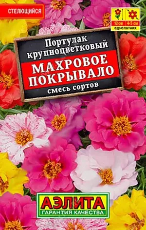Портулак Махровое покрывало из каталога Портулак Семена Портулак Махровое покрывало. Уникальный почвопокровный летник для сухих солнечных мест. Прекрасно цветет на бедных и каменистых почвах. Создаст шикарный бордюр вдоль дорожек, украсит садовые контейнеры.