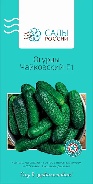 Семена Огурец Чайковский F1 Семена Огурец Чайковский F1