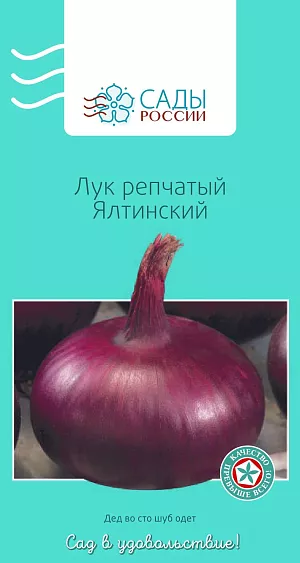 Лук репчатый Ялтинский
