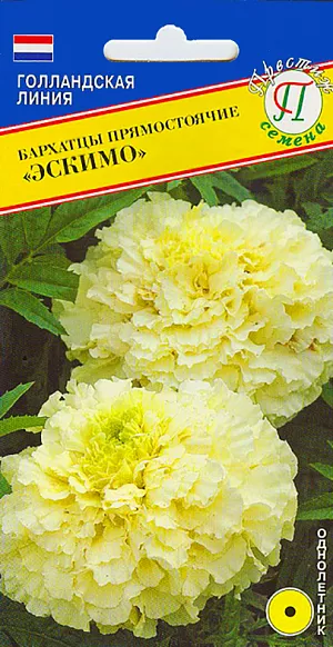 Семена Бархатцы Эскимо прямостоячие.
Однолетник. Крепкий, мощный, хорошо ветвистый кустик с обилием бутонов и соцветий. Ванильно-белые, густомахровые, почти шаровидные соцветия до 10 см. Высота растения - 35 см, ширина - 45 см. Превосходно для бордюров, цветников, клумб, где среди флоксов, цинний, астр, георгин составит основу всей композиции. Растение обладает своеобразным пряным ароматом, оказывает санитарное воздействие на почву.