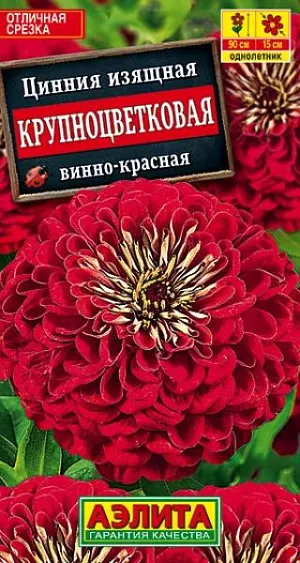 Семена Цинния Крупноцветковая винно-красная из каталога Цинния Семена Цинния винно-красная Крупноцветковая.
Высокорослая, обильноцветущая цинния с яркими махровыми соцветиями диаметром 13-15 см. Кусты быстрорастущие, мощные, высотой 70-90 см, с множеством цветоносов. Цветение раннее и продолжительное, с июня до окончания сезона. Каждое соцветие держится на растении до 30 дней. Циннии неприхотливые, теплолюбивые, достаточно засухоустойчивые, предпочитают солнечное местоположение. Широко используются для выращивания на клумбах и в рабатках, отлично подходят для срезки. Срезанные цветы долго стоят в воде. Агротехника. Выращивают рассадным способом. С развитием первой пары настоящих листочков сеянцы пикируют. В фазе 5-6 листьев проводят формирующую прищипку. Рассаду высаживают в открытый грунт, когда минует опасность заморозков. Растениям необходимы регулярные поливы, прополки, рыхления и подкормки. Возможен посев семян в открытый грунт на глубину1 см.