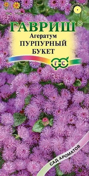 Семена Агератум Пурпурный букет 0,1 г.
Декоративное растение из семейства Астровые, культивируемое как однолетник, высотой до 60 см. Цветение обильное с июня до заморозков. Душистые мелкие цветки собраны в небольшие пурпурные соцветия-корзинки 1–1,5 см в диаметре, которые, в свою очередь, собраны в сложные щитковидные соцветия до 10 см в поперечнике. Достаточно засухоустойчив, светолюбив, но может расти при небольшом затенении, предпочитает легкие, умеренно плодородные почвы. Теплолюбив, заморозков не переносит. Выращивают рассадным способом. Посев проводят в конце марта–начале апреля, всходы появляются через 8–12 дней. Рассаду высаживают в конце мая–начале июня, после окончания весенних заморозков. Используют для посадки на клумбах, в рабатках, миксбордерах, а также в балконные ящики.