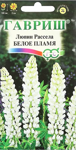 Семена Люпин Рассела Белое пламя из каталога Люпин Семена Люпин Рассела Белое пламя.
Многолетнее красивоцветущее растение семейства бобовых.
Его высокие строго вертикальные цветоносы до 100 см высотой украшены эффектными пальчатыми листьями.
Соцветие – кремово-белая плотная, многоцветковая кисть длиной до 45 см, цветки размером 2 см, многочисленные, душистые.
Цветет с первых чисел июня в течение 30-40 дней. Светолюбив, но выносит легкую полутень.
Хорошо растет на любых нетяжелых почвах с рН 5,5-6,0. Размножается семенами.
Высевать лучше под зиму свежесобранные семена или ранней весной непосредственно в грунт.
Используют люпины в групповых посадках большими массивами на дальнем плане, на газонах пред живой изгородью или вместе с другими многолетниками в смешанных рабатках.