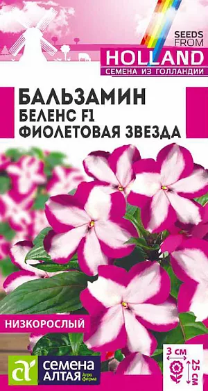 <div>
 Семена Бальзамин Беленс F1 Фиолетовая звезда.
</div>
Многолетнее компактное растение, идеально подходящее для выращивания в горшечной, контейнерной культуре, в открытом грунте выращивается, как летник. Высота растения в горшке 15-20 см, в открытом грунте – 20-25 см. Ширина кустика 25-30 см. На сочных мясистых стеблях расположены удлиненно-эллиптические листья приятной зеленой окраски. Очаровательные простые цветки достаточно крупные, в диаметре 2-3 см. В помещениях цветет весь год при температуре не ниже +16°С. Широко используют для украшения клумб, цветников, рабаток, бордюров, подвесных корзин, контейнеров, вазонов. Растение теплолюбивое, в открытом грунте при наступлении холодных ночей увядает. Предпочитает слегка затененные места в саду или комнате. Не выносит переувлажнения. Посевы на рассаду проводят в конце февраля - марте. 
