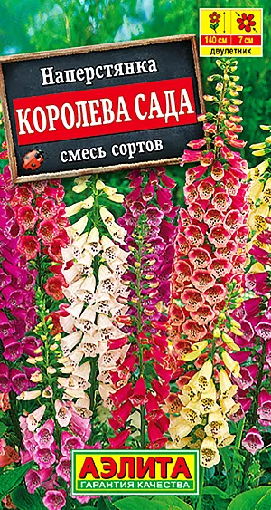 Семена Наперстянка Королева сада смесь окрасок.
Высокое кистевидное соцветие с колокольчатыми цветками возвышается над розеткой крупных, опушенных листьев. Используется для групповых посадок, миксбордеров, декорирования стенок и на срезку. Агротехника. Посев: май-июнь в ящики или в открытый грунт на рассаду. Сеянцы пикируют в торфоперегнойные горшки. На постоянное место рассаду высаживают осенью на расстояние 25-30 см между растениями. Культура неприхотливая к условиям выращивания. Предпочитает умеренно плодородную почву с достаточным увлажнением и полутень. Для подкормки мы рекомендуем использовать комплексное минеральное удобрение, способствующее улучшению роста и продолжительному, обильному цветению.