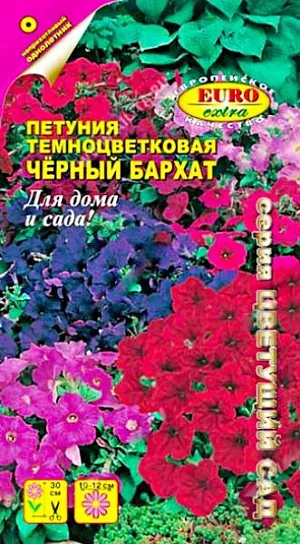 Семена Петуния Черный бархат. <br>
 <br>
 Петуния-одно из красивейших растений, отличается продолжительным цветением и разнообразием окрасок. Едва ли еще какое-нибудь растение может сравниться с ней по этим признакам. Выращивается и как летник, так и как многолетник в саду, на балконе в ящиках или цветочных горшках. Является свето- и теплолюбимых, засухоустойчивым растением. Петунии необходимо постоянное освещение, но следует избегать прямых солнечных лучей. Лучше всего растет на лёгких, плодородных почвах. Благодарно отзывается на поливы и регулярные подкормки.<br>
 <br>
 Посев: на рассаду февраль-март. Семена располагают по поверхности слегка уплотненной и увлажненной почвы, не заделывая их, увлажняют из распылителя, накрывают стеклом 3-5 дней растения держат при температуре 22-24°C, не допуская пересыхания грунта до момента прорастания сеянцев. Капли конденсата с поверхности стекла убирают. После появления всходов температура 18-20°C в течение 25-30 дней. В данный период необходим своевременный полив без переувлажнения.