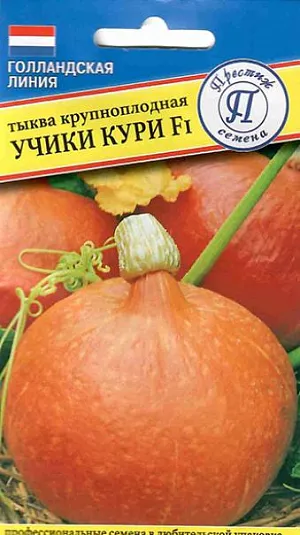 Семена Тыква Учики Кури