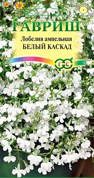 Семена Лобелия Белый каскад ампельная.
Растение, культивируемое как однолетник из семейства Лобелиевые. 
Побеги тонкие, стелющиеся, длиной до 50 см. Цветение обильное с июня до осени. 
Цветки белоснежные, до 2 см в диаметре. Светолюбива, влаголюбива и холодостойка. 
Предпочитает рыхлые и умеренно плодородные почвы, в засушливый период необходим полив.
Выращивают рассадным способом. Семена высевают в феврале-марте. Всходы появляются через 9-10 дней.
Рассаду высаживают в открытый грунт во второй половине мая. Используется для посадки в подвесные кашпо и корзины, вазы, балконные ящики.

