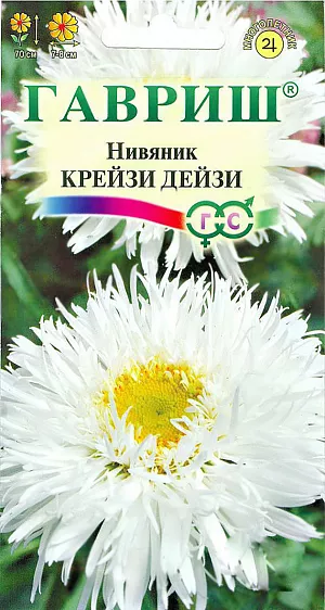 Семена Нивяник Крейзи Дейзи.
Многолетнее прямостоячее растение высотой 70 см. Листья стеблевые продолговатые, сидячие, верхние по краям городчатые, нижние — черешковые лопатчатые. Соцветия — корзинки, махровые и полумахровые, диаметром 7-8 см. Размножают семенами, делением корневищ и черенками. Семена высевают весной для выращивания рассады или осенью — в гряды открытого грунта. Сеянцы зацветают на второй год. Чтобы соцветия не мельчали, кусты делят на 3-4-й год. Деление производят весной, на мелкие части, которые высаживают на расстоянии 40 см. Нивяник хорошо смотрится в групповых посадках на фоне декоративных кустарников, на газоне, в цветниках и бордюрах. Из нивяника получается превосходная срезка.