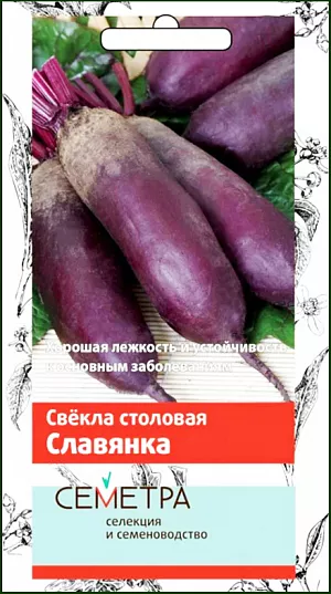 Семена Свекла столовая Славянка