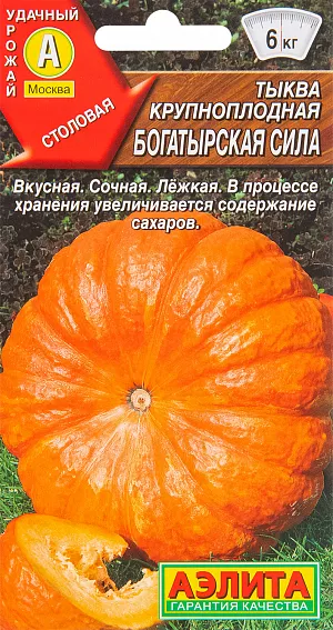 Семена Тыква крупноплодная Богатырская сила