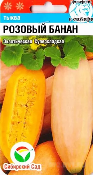 Семена Тыква Розовый банан