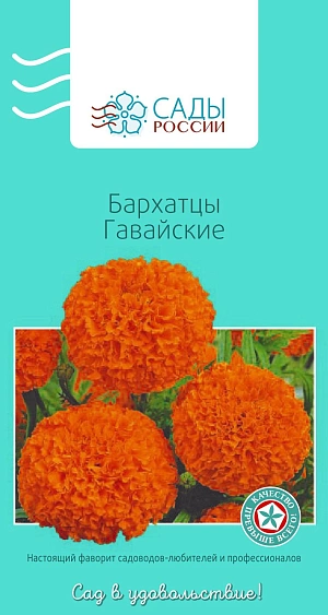Бархатцы африканские Гавайские из каталога Бархатцы Бархатцы африканские Гавайские
Бархатцы прямостоячие, или африканские. Куст мощный с прочными цветоносами, соцветия густомахровые насыщенно-оранжевые, в диаметре до 7 см. Растение теплолюбивое, рассаду высаживают в грунт, когда минует угроза заморозков.