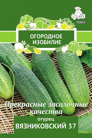 Семена Огурец Вязниковский 37